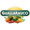 Guallarauco